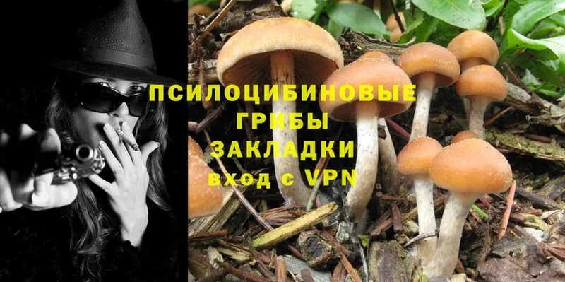 МЕГА   Межгорье  Галлюциногенные грибы MAGIC MUSHROOMS  сколько стоит 